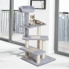 Afbeelding van PawHut 5-laags kattenklim- en krabboom met sisal - beige