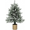 Afbeelding van HOMCOM Kunststof Kerstboom Ø60 x 100H cm Groen en Goud