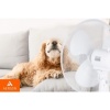 Afbeelding van AERSON 40 cm staande ventilator | hoogte verstelbaar tot 120 cm | stil met 3 snelheden en oscillatie