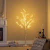 Afbeelding van HOMCOM 120 cm kunstberken kerstboom met LED, decoratie voor bruiloft en feest