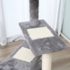 Afbeelding van PawHut 5-laags kattenklim- en krabboom met sisal - beige