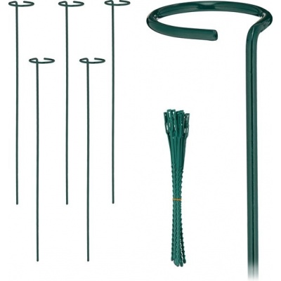 Foto van Set van 6 plantensteunen met ring - 60 cm - inclusief plantenbinders - groen