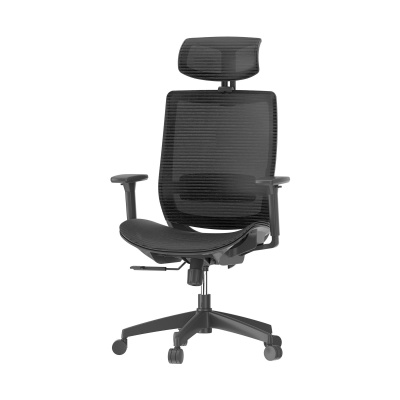 Foto van FLEXISPOT Ergonomische bureaustoel met 3D-armleuningen en verstelbare lendensteun, zwart
