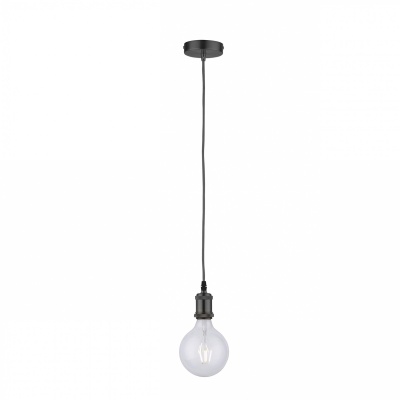 Foto van Paul Neuhaus Edison Style hanglamp, E27, zwart