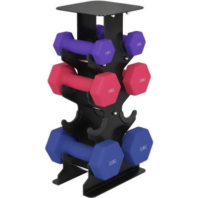 Foto van SPORTNOW Halterset - Metaal en Kunststof - 21L x 14B x 42H cm - Paars, Roze, Blauw