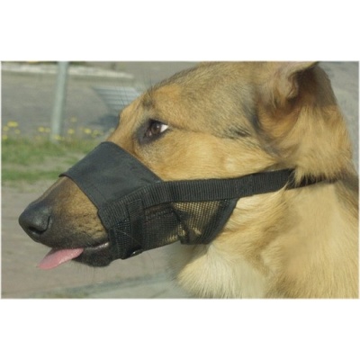 Foto van Beeztees Comfort Muilband - Hond - L - 18-24 cm