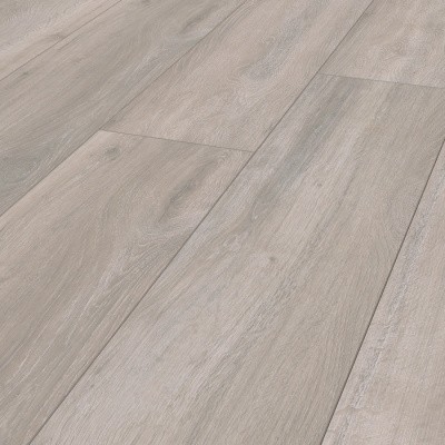 Forest Grey Forest Grey