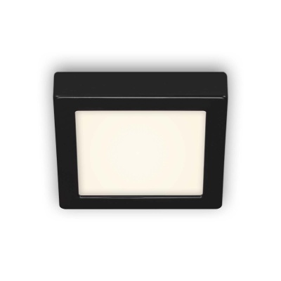 Foto van Plafondlamp, 17 cm, 12 W, 1200 lm, Aluminium