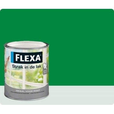 Flexa Strak In De Lak Zijdeglans Kikkergroen Flexa Strak In De Lak Zijdeglans Kikkergroen