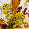 Bild von SUMMER ORANGE 
