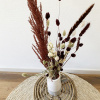Bild von COZINESS