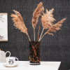 Bild von Panther Vase Bernstein / Braun 12x25cm
