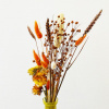 Bild von SUNNY ORANGE