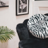 Bild von Zebrakissen Ø 35 cm