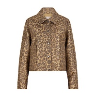 Esqualo jasje F25-19513 - Golden Olive