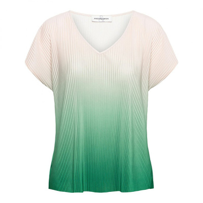 Foto van &Co Women top Jade Plisse - Green