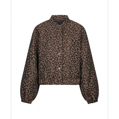 Foto van Red Button bomber SRB5149 Jaquard - Grey Brown