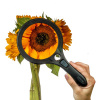 Afbeelding van Vergrootglas rond met ledverlichting - 10 -5 cm