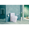 Afbeelding van Toiletverhoger compleet