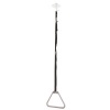 Afbeelding van Papegaai | Bedgalg | Plafond | wit