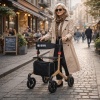 Afbeelding van Lichtgewicht | Rollator | Qunn Rio | Panterprint 