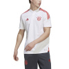 Afbeelding van FC Bayern München Condivo 22 Polo Set