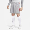 Afbeelding van Liverpool FC Strike Nike Dri-FIT Voetbalbroek