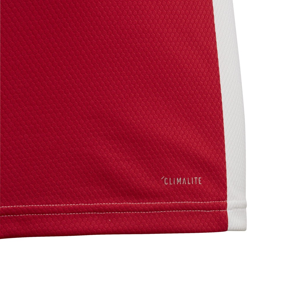 Afbeelding van AJAX Thuisshirt Kids 2019-2020