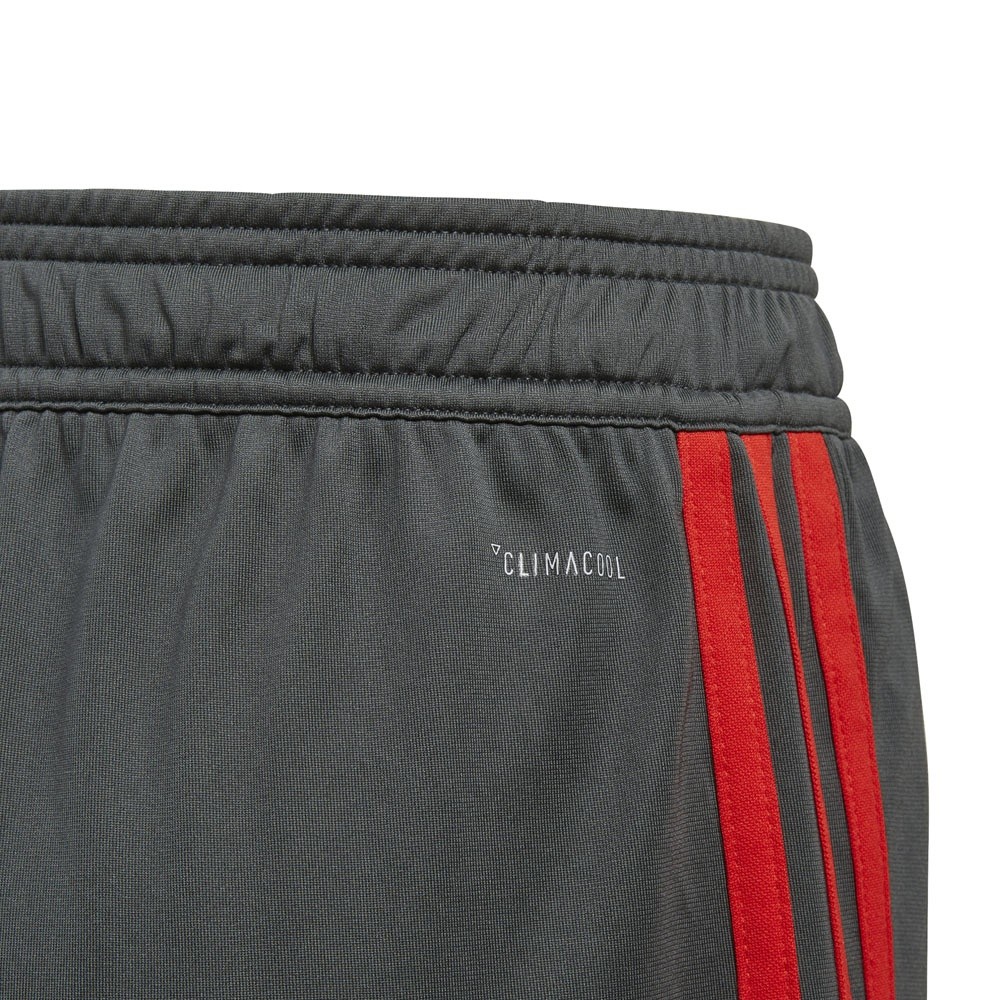 Afbeelding van FC Bayern München Trainingsshort Kids