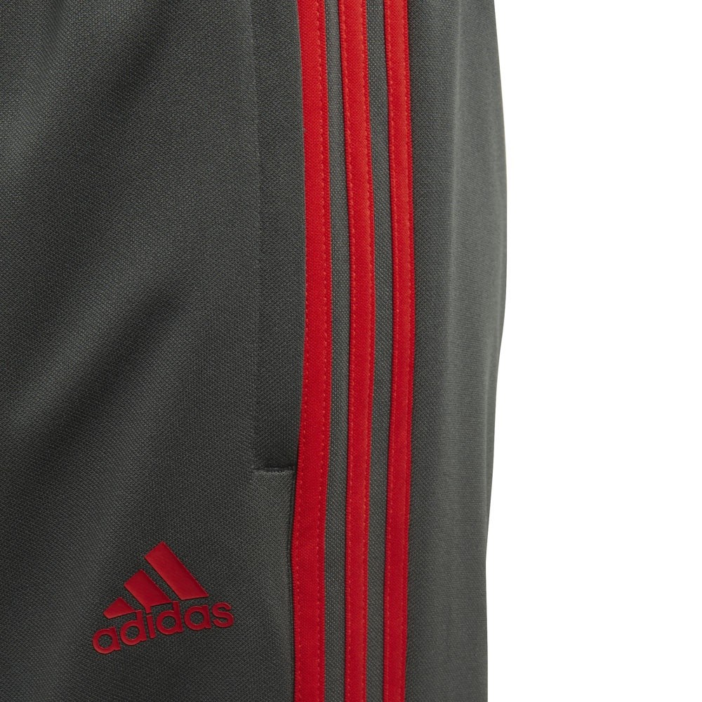 Afbeelding van FC Bayern München Training Set Kids