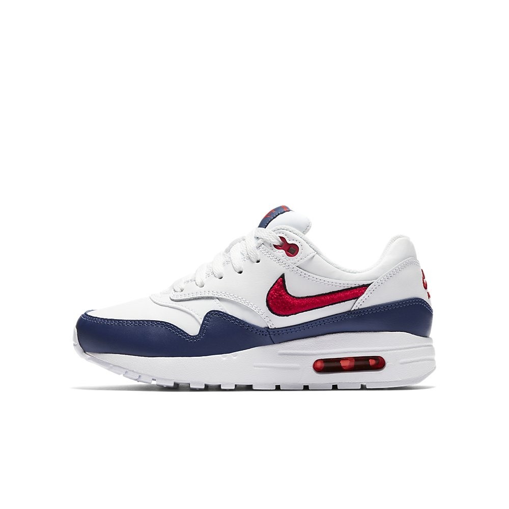 Afbeelding van Nike Air Max 1 SE Kids