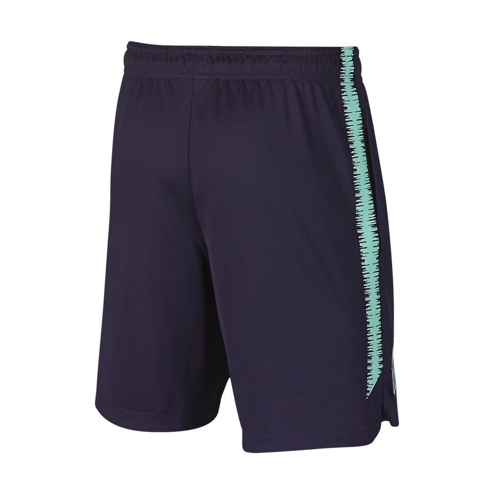 Afbeelding van FC Barcelona Dri-FIT Squad Short Kids