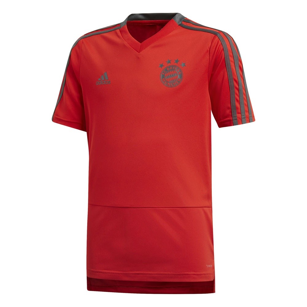 Afbeelding van FC Bayern München Trainingsshirt Kids
