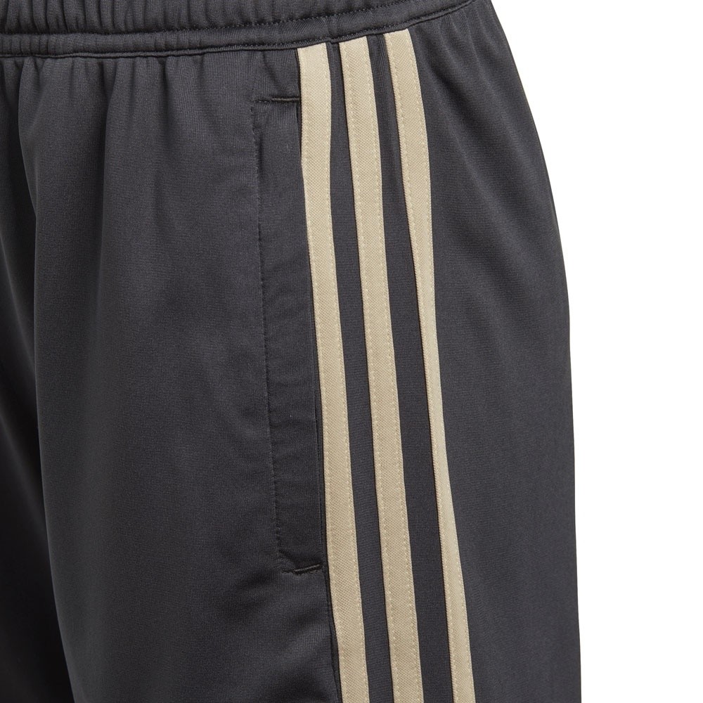 Afbeelding van Ajax Amsterdam Training Short Kids