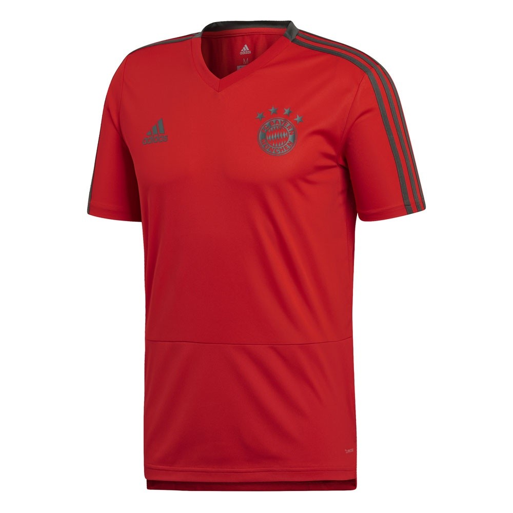 Afbeelding van FC Bayern München Trainingsshirt