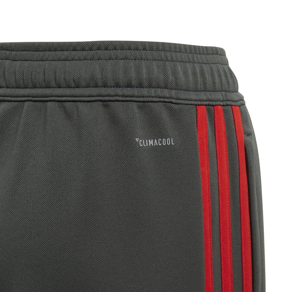 Afbeelding van FC Bayern München Training Set Kids