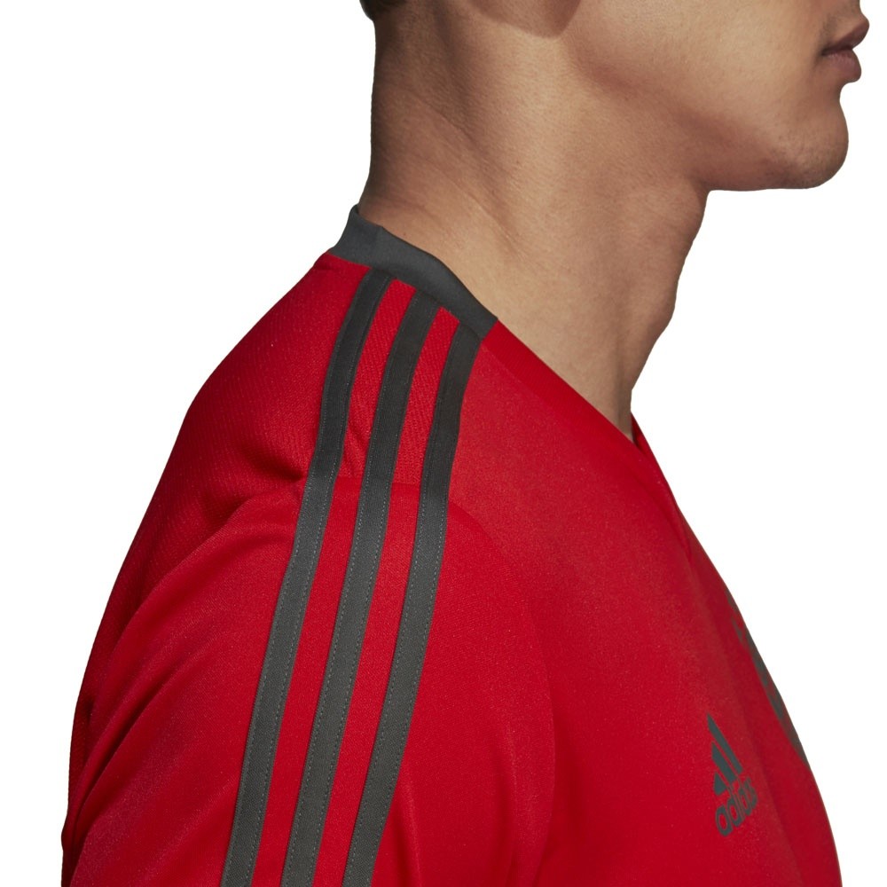 Afbeelding van FC Bayern München Trainingsshirt
