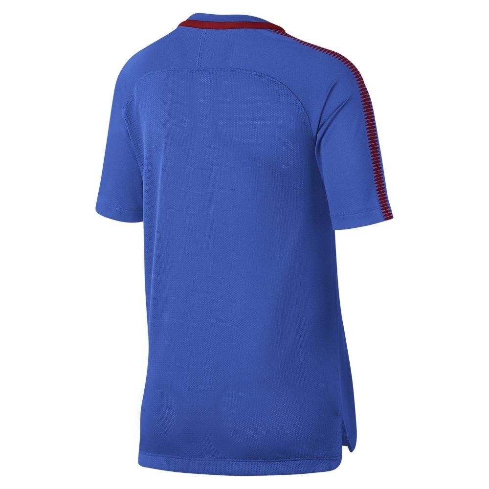 Afbeelding van Paris Saint-Germain Breathe Squad Shirt Kids
