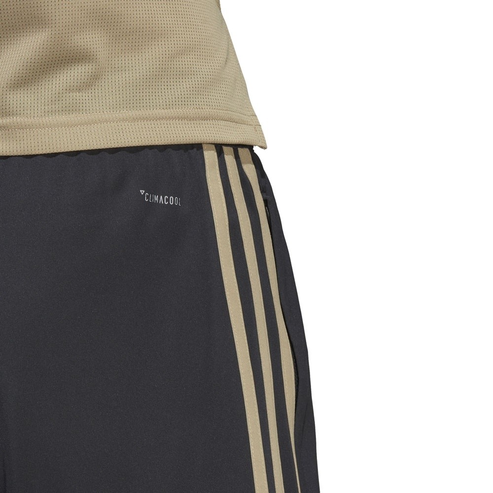 Afbeelding van Ajax Amsterdam Training Short