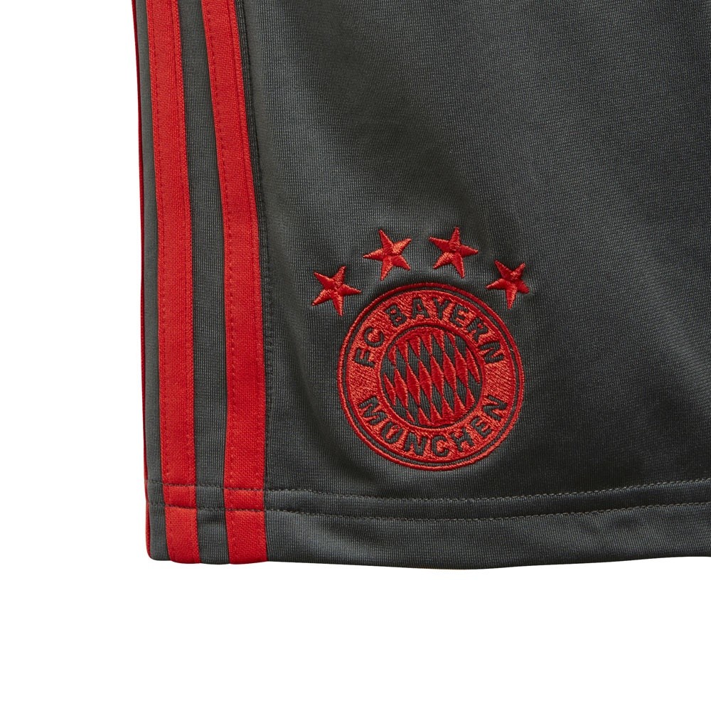 Afbeelding van FC Bayern München Trainingsshort Kids