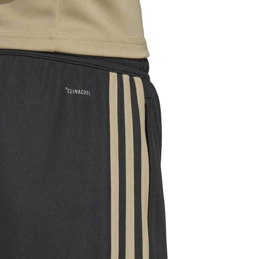 Afbeelding van Ajax Amsterdam Training Set
