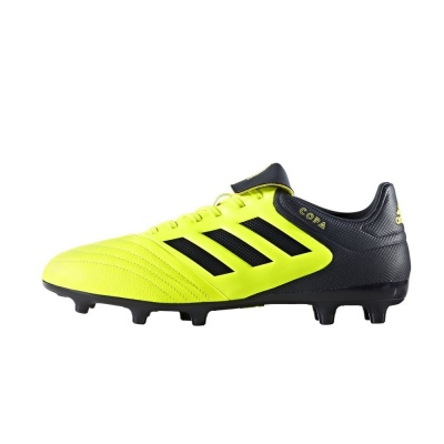 adidas copa 17.3 fg