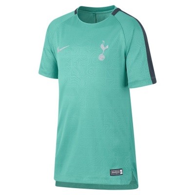 tottenham hotspur dri fit