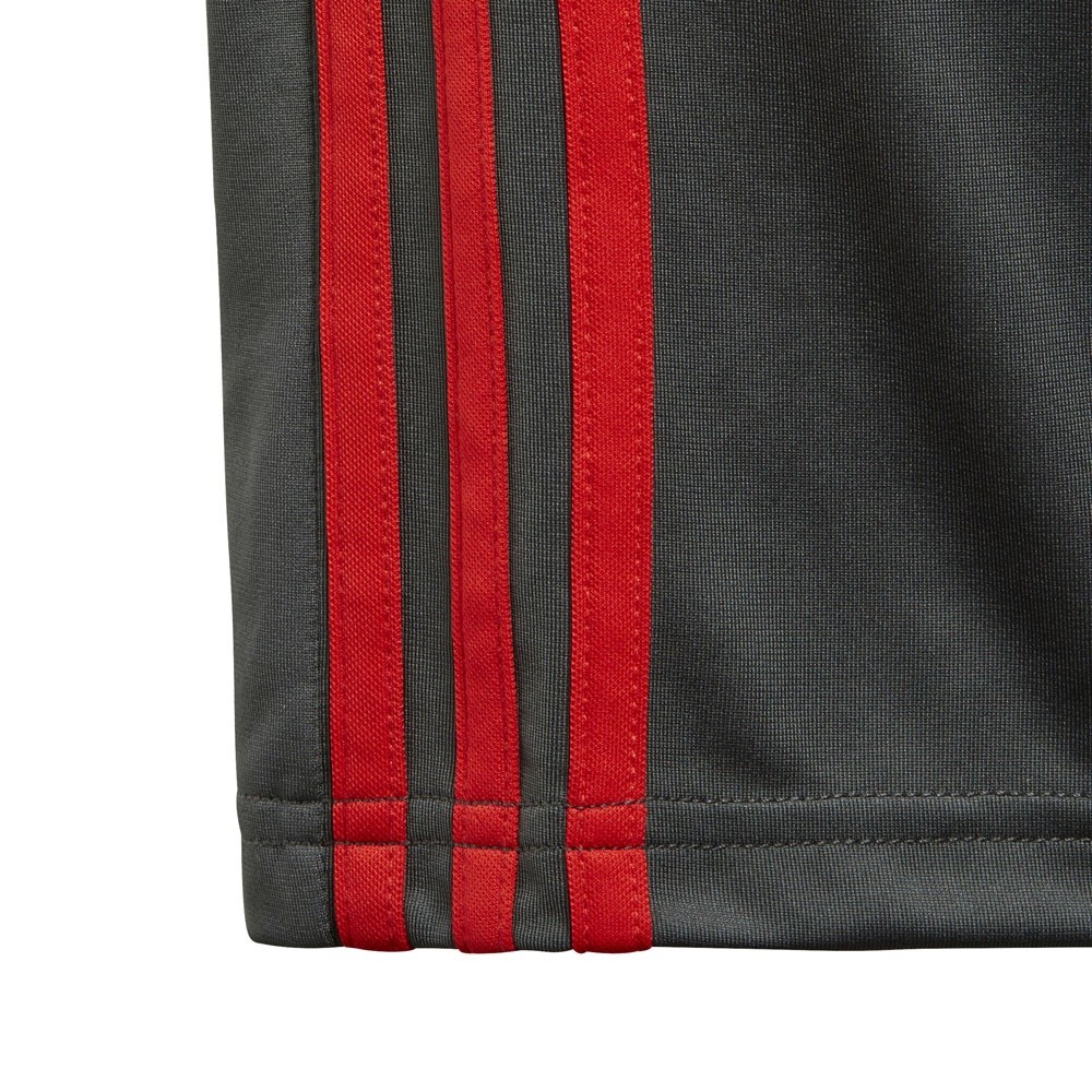Afbeelding van FC Bayern München Trainingsshort Kids