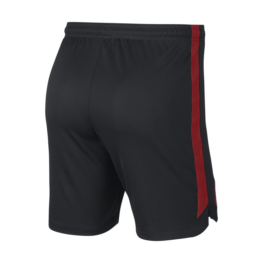 Afbeelding van Paris Saint-Germain Dry Squad Short