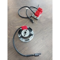 Selettra KZ binnenrotor ontsteking race ontsteking