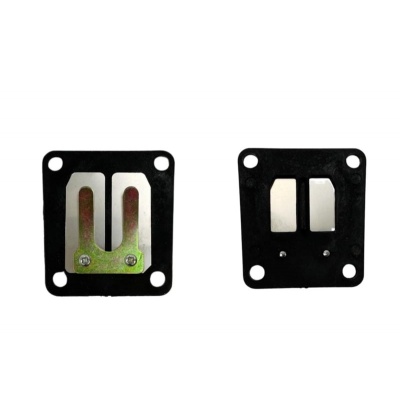 Membraan A35 Polini model Foto van Membraan A35 Polini model