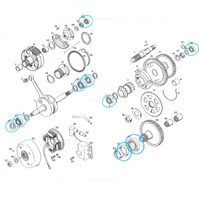 Lagers en keerringen motorblok revisie SKF/NSK
