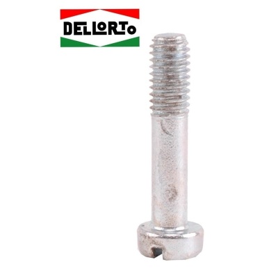 Foto van Klembout Dellorto SHA