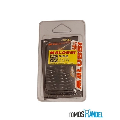 Foto van Malossi koppelingsveren Derbi